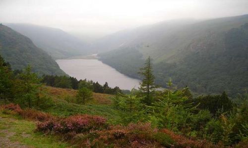 Zdjęcie IRLANDIA / Hrabstwo Wicklow / Gory Wicklow / Widok na dolinke Glendalough