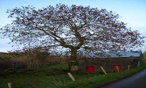Zdjęcie IRLANDIA / Hrabstwo Leitrim / Dokladnie nie pamietam / W drodze do Manorhamilton