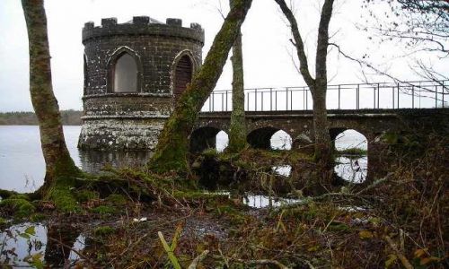 Zdjęcie IRLANDIA / Hrabstwo Roscommon / Lough Key / Jezioro Lough Key
