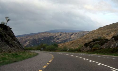 Zdjęcie IRLANDIA / Hrabstwo Cork / droga N22 / W drodze na półwysep Dingle