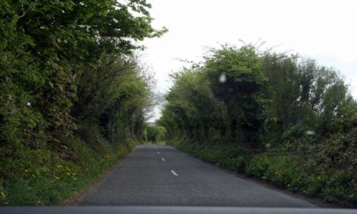 Zdjecie IRLANDIA / - / Droga N67 / Droga N67