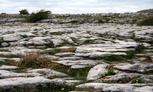Zdjecie IRLANDIA / Burren / Clare / Kamie na kamieniu.