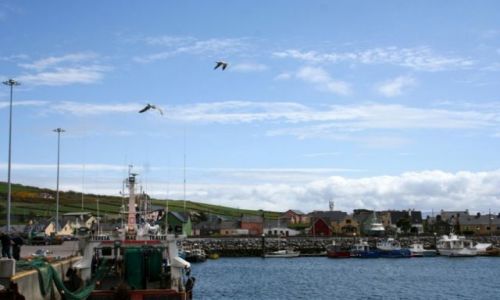 Zdjęcie IRLANDIA / - / Dingle. / Port 3.