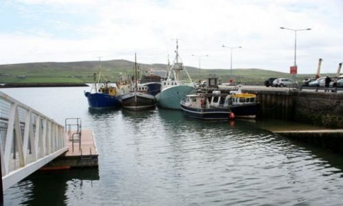 Zdjęcie IRLANDIA / - / Dingle. / Port 4.