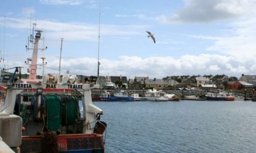 Zdjęcie IRLANDIA / - / Dingle. / Port 5.