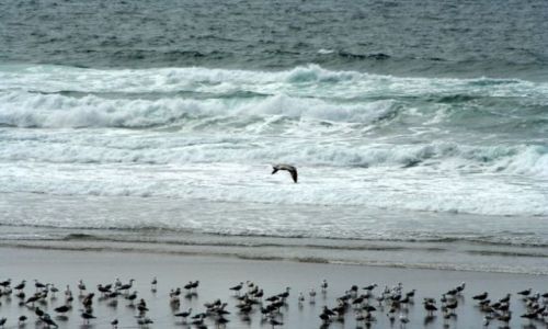 Zdjęcie IRLANDIA / - / przy drodze R566 / Wokół Pierscienia Kerry #3