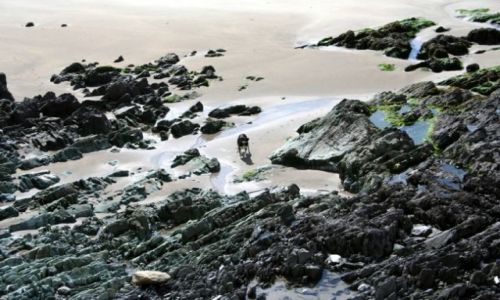 Zdjęcie IRLANDIA / - / przy drodze R566 / Samotny wśród skał.