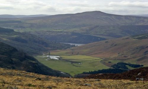 Zdjęcie IRLANDIA / - / Wicklow Mountain National Park / Wgórach