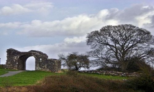 Zdjcie IRLANDIA / Meath / Trim / Ruiny