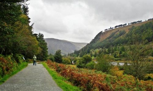 Zdjęcie IRLANDIA / Wicklow / Glendalough / Trasa krajobrazowa