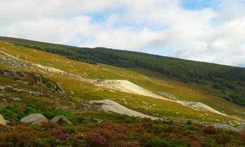 Zdjecie IRLANDIA / - / Gry Wicklow / Jesie w grach