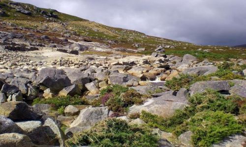Zdjecie IRLANDIA / - / Gry Wicklow / W grach