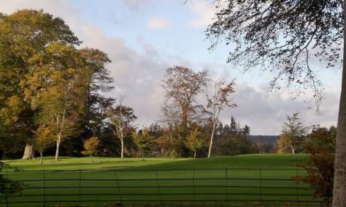 Zdjęcie IRLANDIA / - / Powerscourt/Enniskerry / Pola golfowe