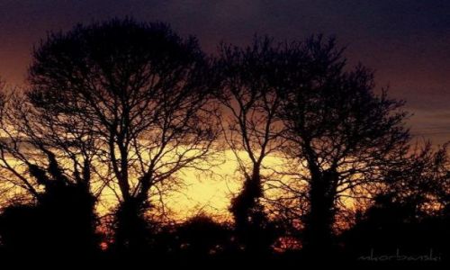 Zdjecie IRLANDIA / - / Swords / ...