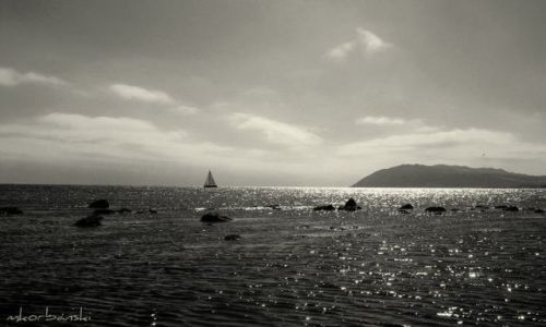 Zdjecie IRLANDIA / - / Killiney / B&W