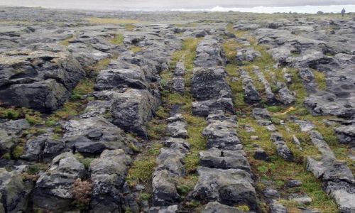 Zdjęcie IRLANDIA / - / ok.Ennis / Formacje skalne na plaży