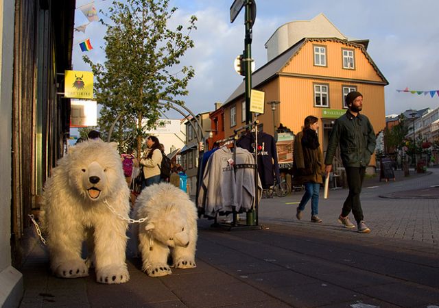 Zdjęcia: Reykjavik, Niedźwiedzie polarne ;), ISLANDIA Zdjęcia: Reykjavik, Niedźwiedzie polarne ;), ISLANDIA