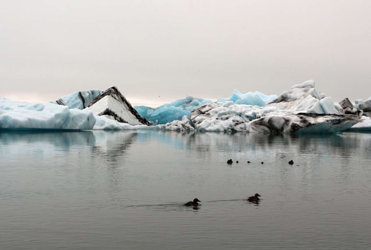 Zdjęcia: .., ., laguna, ISLANDIA Zdjęcia: .., ., laguna, ISLANDIA