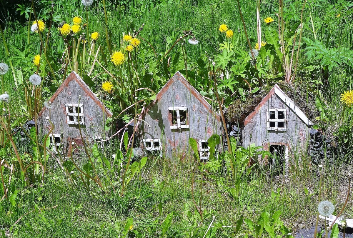 Zdjęcia: Obokosady domków torfowych, Wschodnie fiordy, Domki elfów, ISLANDIA Zdjęcia: Obokosady domków torfowych, Wschodnie fiordy, Domki elfów, ISLANDIA