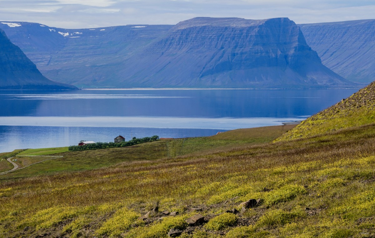 Zdjęcia: okolice, Fjordy Zachodnie, W drodze do Latrabjarg, ISLANDIA Zdjęcia: okolice, Fjordy Zachodnie, W drodze do Latrabjarg, ISLANDIA