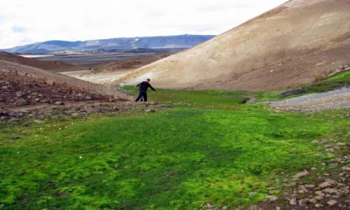 Zdjęcie ISLANDIA / północ / Kraftla / oaza