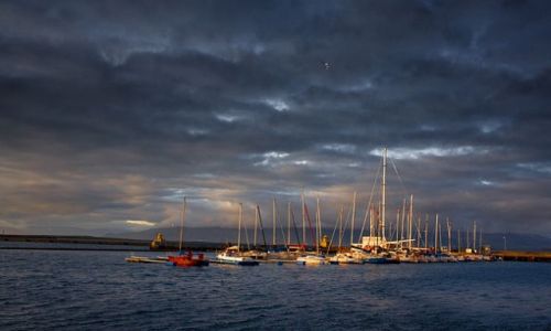 Zdjecie ISLANDIA / - / Reykjavik / Port jachtowy.