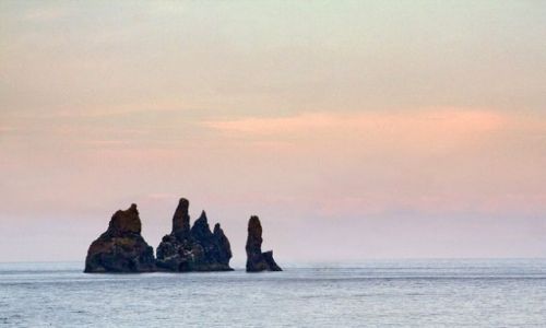 Zdjcie ISLANDIA / - / Dyrholaey / Dyrholaey