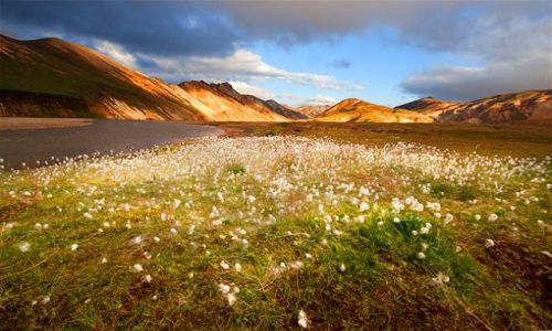 Zdjecie ISLANDIA / - / Landmannalaugar / Landmannalaugar - Gry Tczowe.