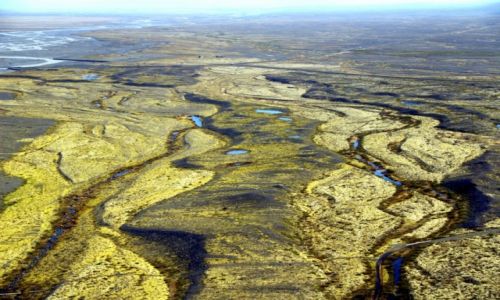 Zdjcie ISLANDIA / Poudnie Islandii / Park Narodowy Skaftafell / U stop lodowca