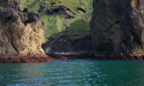 Zdjecie ISLANDIA / Wyspy Westmanw / Wyspa Heimaey / Koloryt wybrzea
