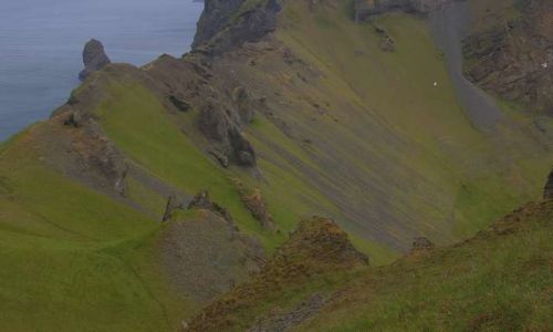 Zdjecie ISLANDIA / Wyspy Westmanw / Wyspa Heimaey / Spacer pord zieleni