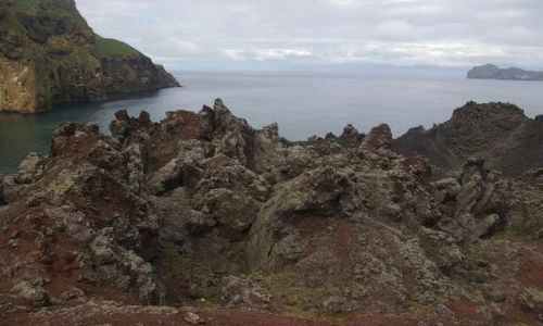 Zdjęcie ISLANDIA / Wyspy Westmanów / Wyspa Heimaey / Rozczochrany krajobraz