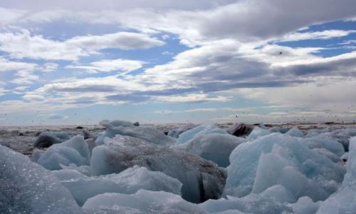 Zdjęcie ISLANDIA / brak / Jokursalon / Lodowa plaża