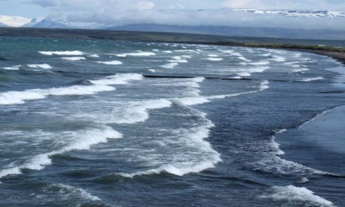 Zdjcie ISLANDIA / Pnocna Islandia / - / pnocna plaa