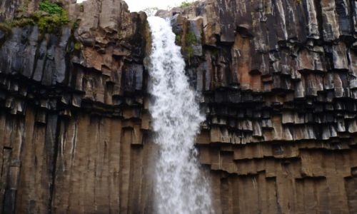 Zdjcie ISLANDIA / Poudniowa Islandia / Park Narodowy Skaftafell / Svartifoss ujcie 2