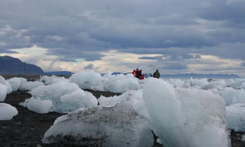 Zdjęcie ISLANDIA / południowa Islandia / Jokursalon / kostki lodu