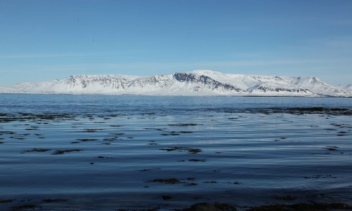 Zdjcie ISLANDIA / Reykjavik / Seltjarnarnes / Gra Esja