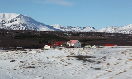 Zdjęcie ISLANDIA / Thingvellir  / . / Farma wśród śniegów