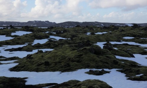 Zdjęcie ISLANDIA / Góry Błękitne / Tvibollahraun / Pola lawowe