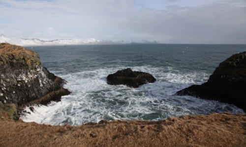Zdjcie ISLANDIA / Pwysep Snæfellsnes /  Arnarstapi / Zatoczka
