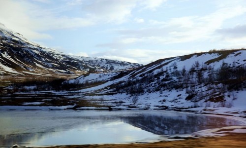 Zdj�cie ISLANDIA / Reykjavik / G�ry Esja  / Po drodze