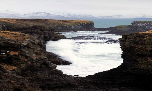 Zdjcie ISLANDIA / Pwysep Snæfellsnes / Arnarstapi / Formacje skalne