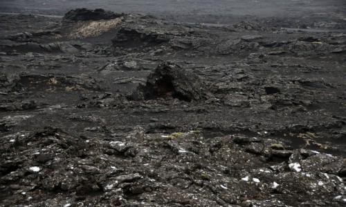 Zdjęcie ISLANDIA / Reykjanes / Reykjanes / Pola lawowe półwyspu Reykjanes