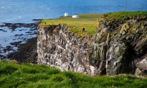Zdjcie ISLANDIA / Fiordy zachodnie / Klify Latrabjarg / Zielone klify