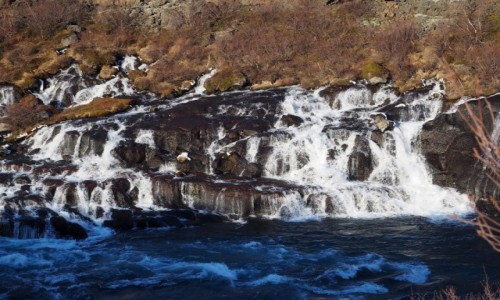 Zdjęcie ISLANDIA / zachodnia Islandia / okolice Husafell / Hraunfossar