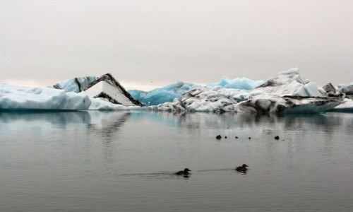 Zdjcie ISLANDIA / . / .. / laguna