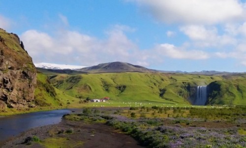 Zdjcie ISLANDIA / pn / vik i okolice / .,