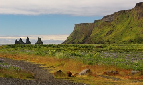 Zdjecie ISLANDIA / pn / vik i okolice / Vik