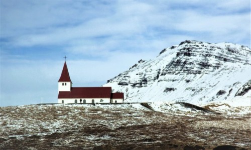 Zdjecie ISLANDIA / Wybrzee poudniowe / . / Koci w Vik