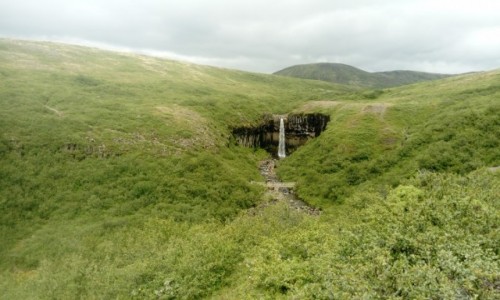Zdjcie ISLANDIA / Skaftaffel national Park / Svartifoss / wodospad na ce
